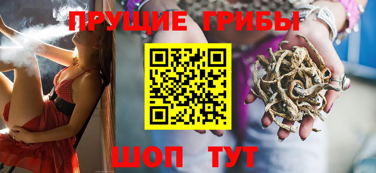 Благовещенск  Галлюциногенные грибы Magic Shrooms  Вход с VPN 